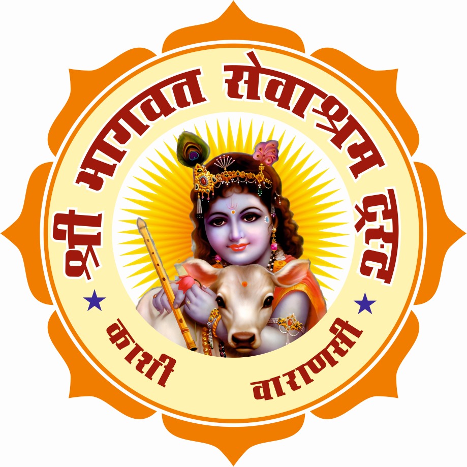 whatsapp image 2025 12 31 at 19.03.17